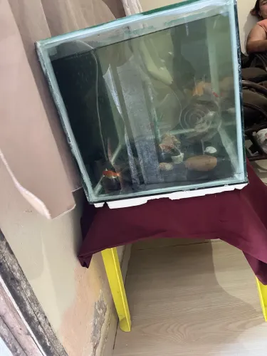 Aquário