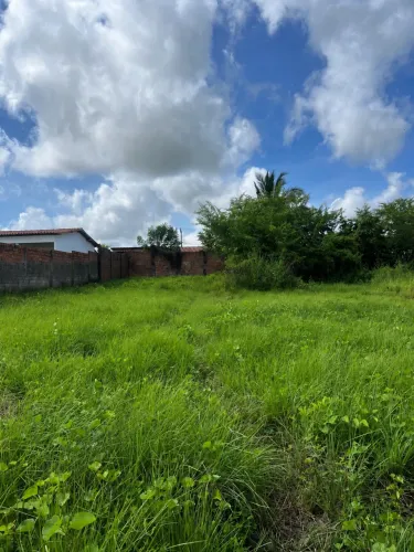 Terreno em Itapecuru Mirim