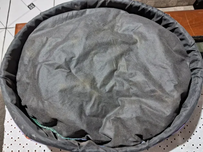 Cama europeia oval para pet 