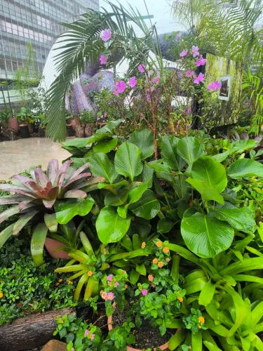 Jardineiro 