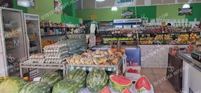Hortifruti com moradia em Guarulhos