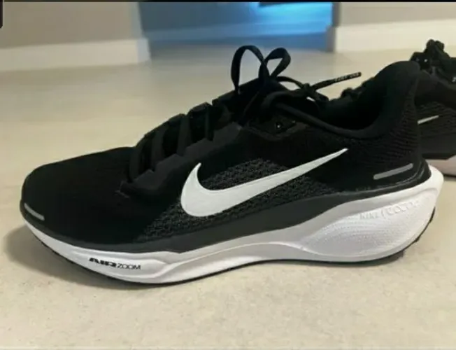 Tênis Nike Pegasus 41