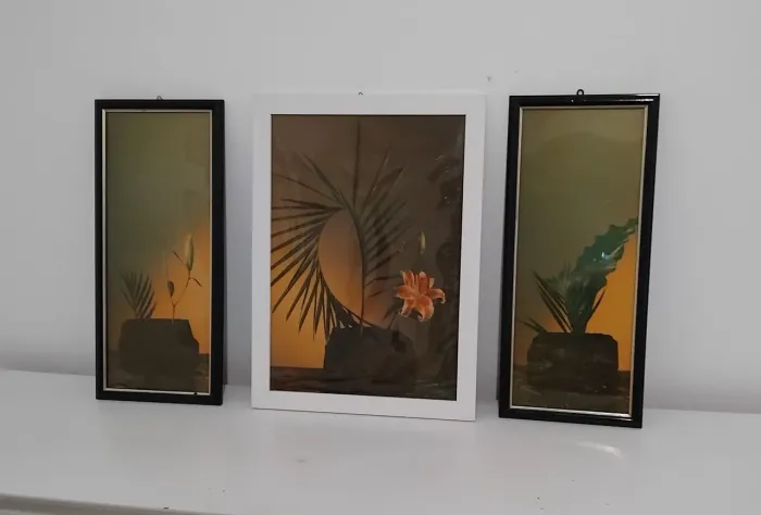 Quadros
