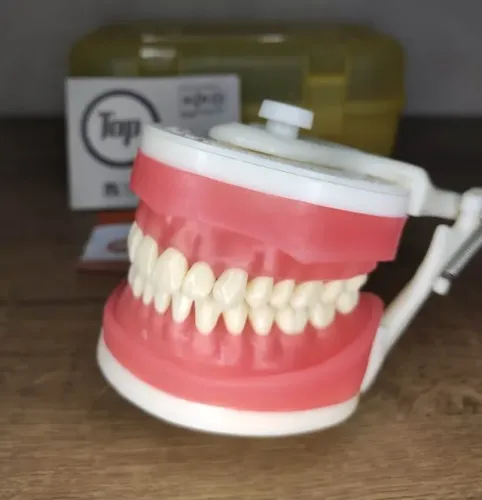manequim pronew dentistica