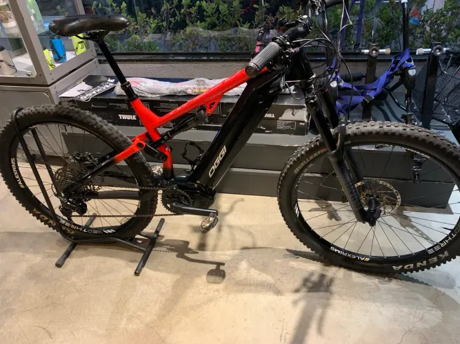 E-BiKE OGGI RAZZO Tam.L/19 2024