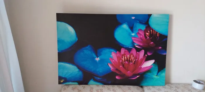 Quadro de tela com estampa 80 reais