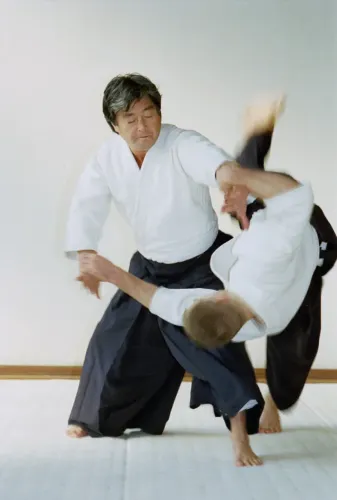 CURSO DE AIKIDO FAIXA PRETA C/ CERTIFICADO 220,00$$