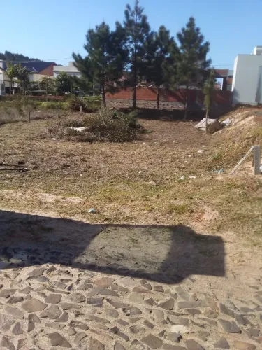 Oportunidade