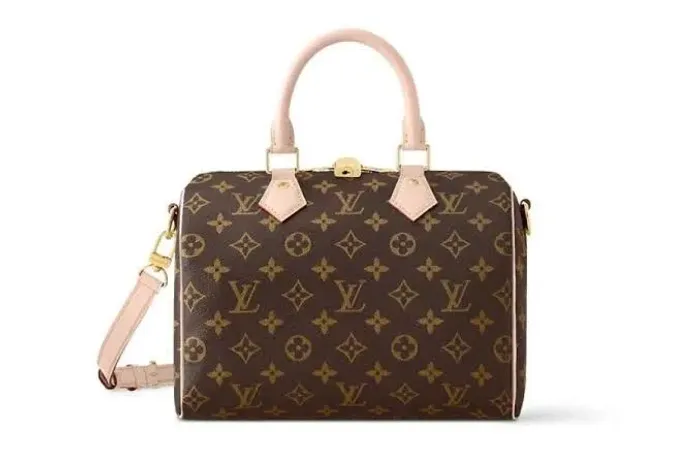 Bolsa Louis vuitton
