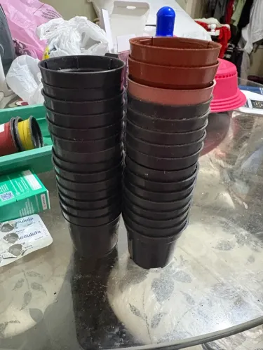 Vendo vaso pote 6
