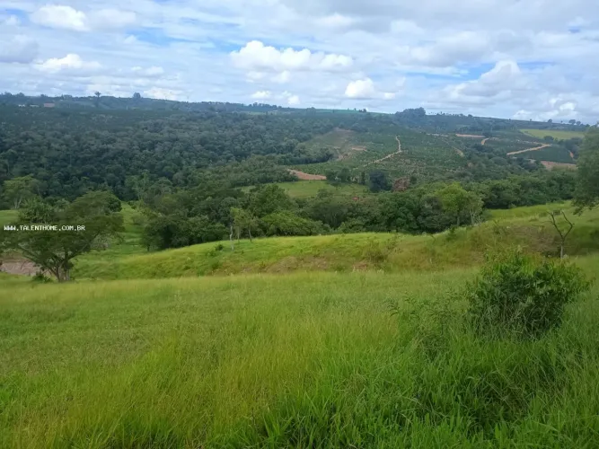Sítio para Venda em Pinhalão, Lavrinha