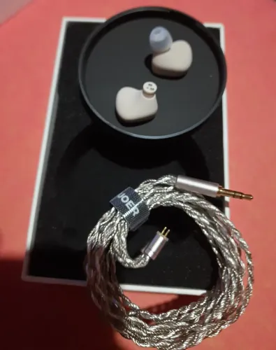 Fone IEM Letshuoer DZ4