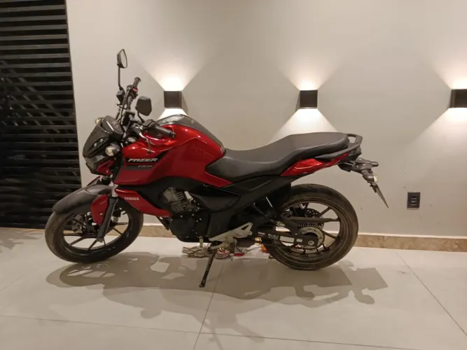 Fz15 2023/2024 
