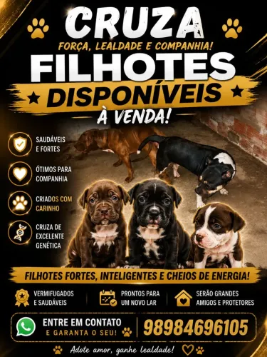 Pitibuul pra venda