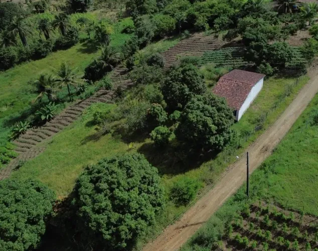 Sítio no município de Viçosa Alagoas 
