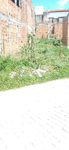 Vendo terreno em Cabucu