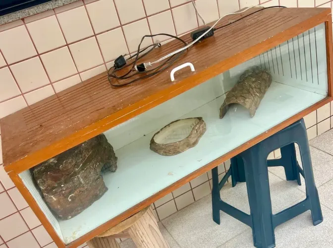 Terrário para répteis