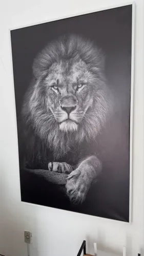 Quadro Leão 