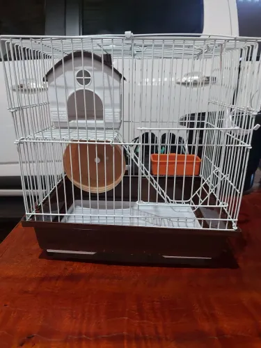 Casinha para hamster