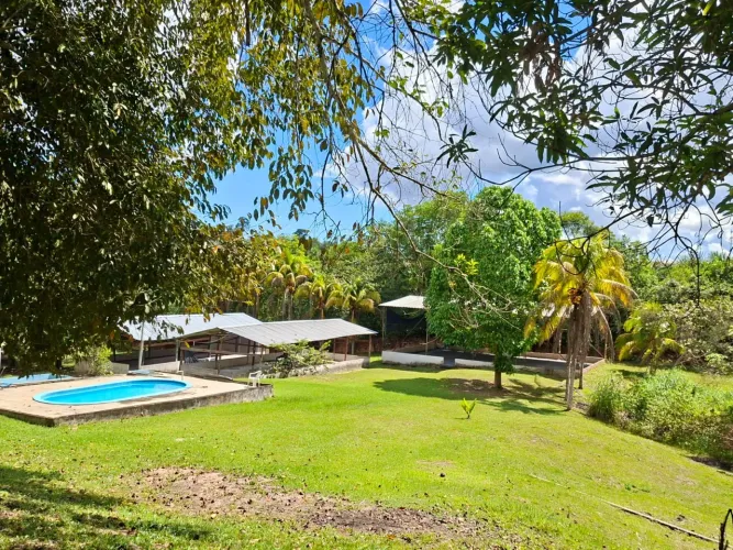 Sítio à venda no Tarumã - R$ 1.600.000,00