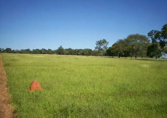 Trocamos aréa urbana por Fazenda 