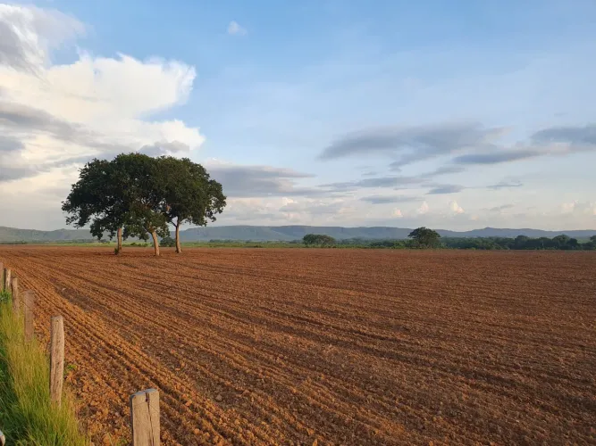 Fazenda 404 hect em Nóbrega MT. 300 hec consolidado R$: 15