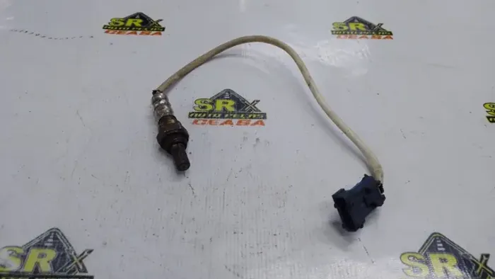 Sonda Lambada Ds4 Mini Cooper