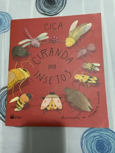 CIRANDA DOS INSETOS