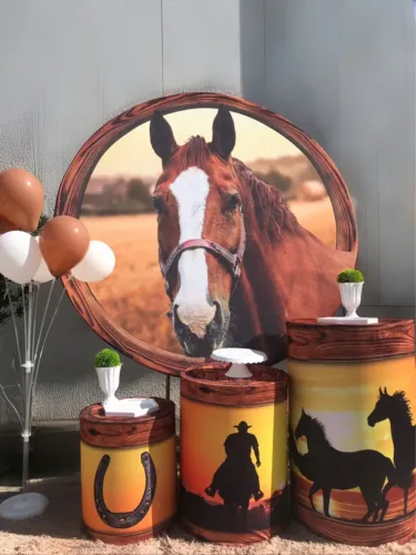 Decoração Festa Tema Cowboy - Aluguel