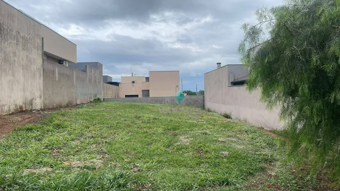 Terreno à venda, 253 m² por R$ 95.000 - Condomínio Bella Vitta - Bady Bassitt/SP