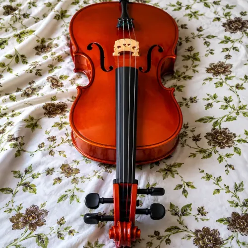 Violoncelo Pronto Para O Uso Hc100 Concert Série