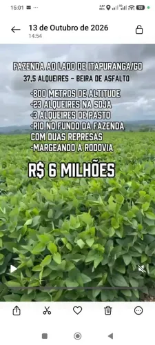 Fazenda de 37.5 alqueires em Itapuranga Goias R$:6 milhões.