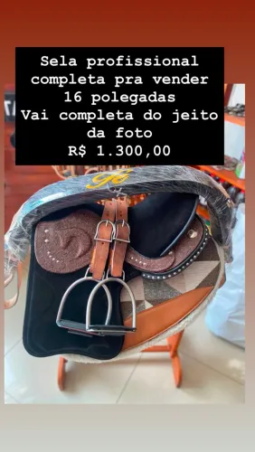 Sela profissional de vaquejada
