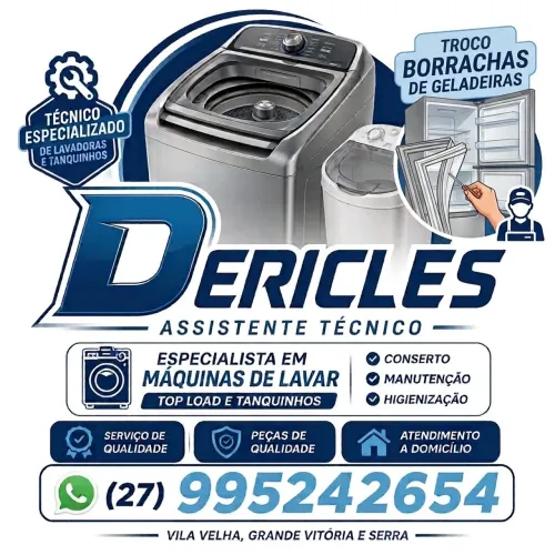 Dericles ASSISTENTE TÉCNICO DE LAVADORAS