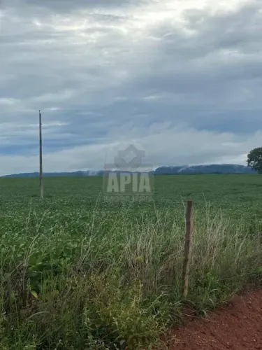 Fazenda a Venda no bairro Área Rural de Hidrolândia - Hidrolândia, GO