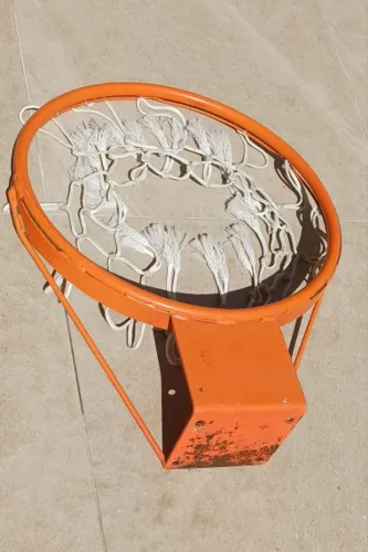 Cesta Basquete