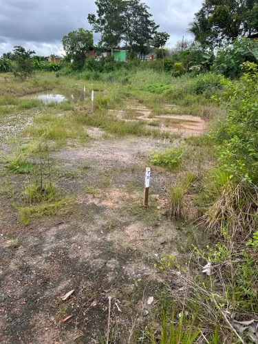 Terreno com 03 lotes.