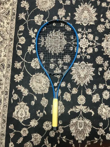 Raquete Artengo TR110