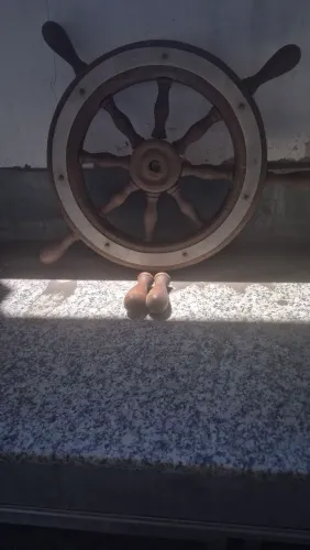 Timão antigo de madeira