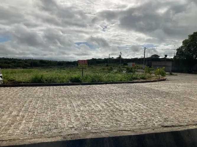 Lote Comercial 302m² em Ponto Estratégico - AL-115, Igaci