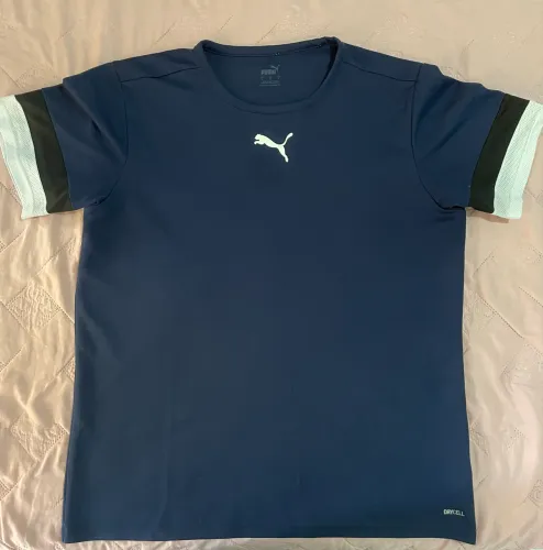Camiseta Puma Team Rise Dry Fit Masculina