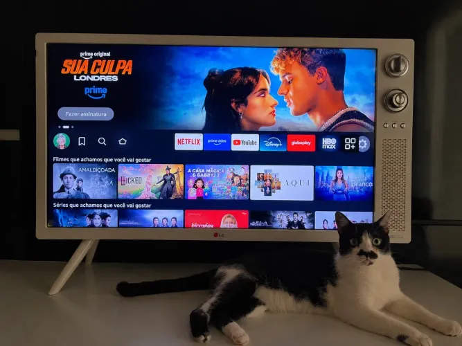 32 TV LG + Fire Stick Amazon