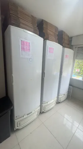 Freezer vertical