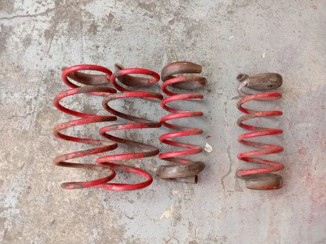 Molas esportivas 