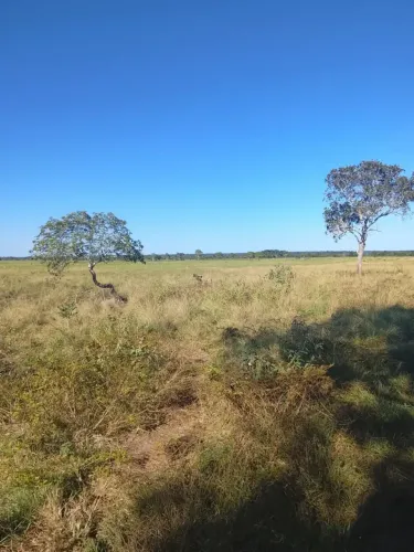 Vendo Chácara, em Novo Planalto de Goiás!!!