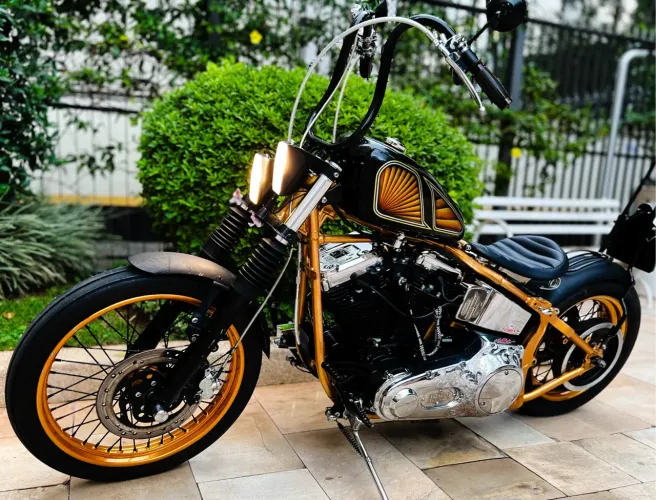 Motos Harley-Davidson 1998 no Brasil
