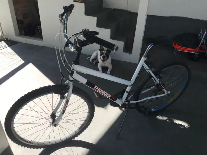 Bicicleta Thunder 