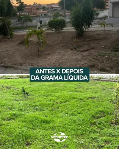 Grama Líquida HIDROSSEMEADURA e Recuperação de Terreno, Gramado e Áreas verdes