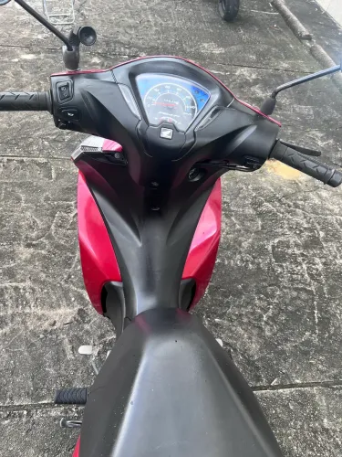 Biz 2019