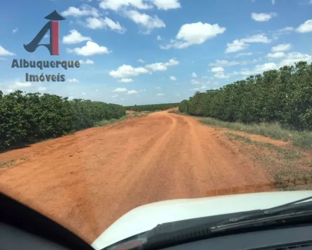 FAZENDA RURAL em São Roque de Minas - MG, São Roque de Minas